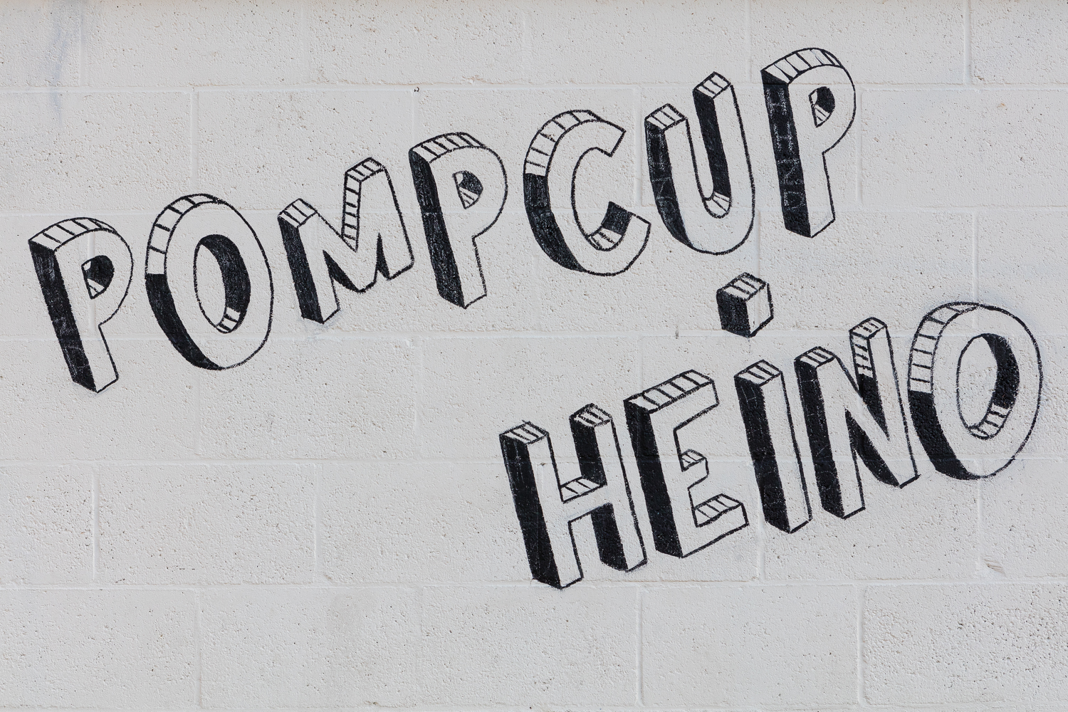 10Th anniversary PomCup Heino.jpeg