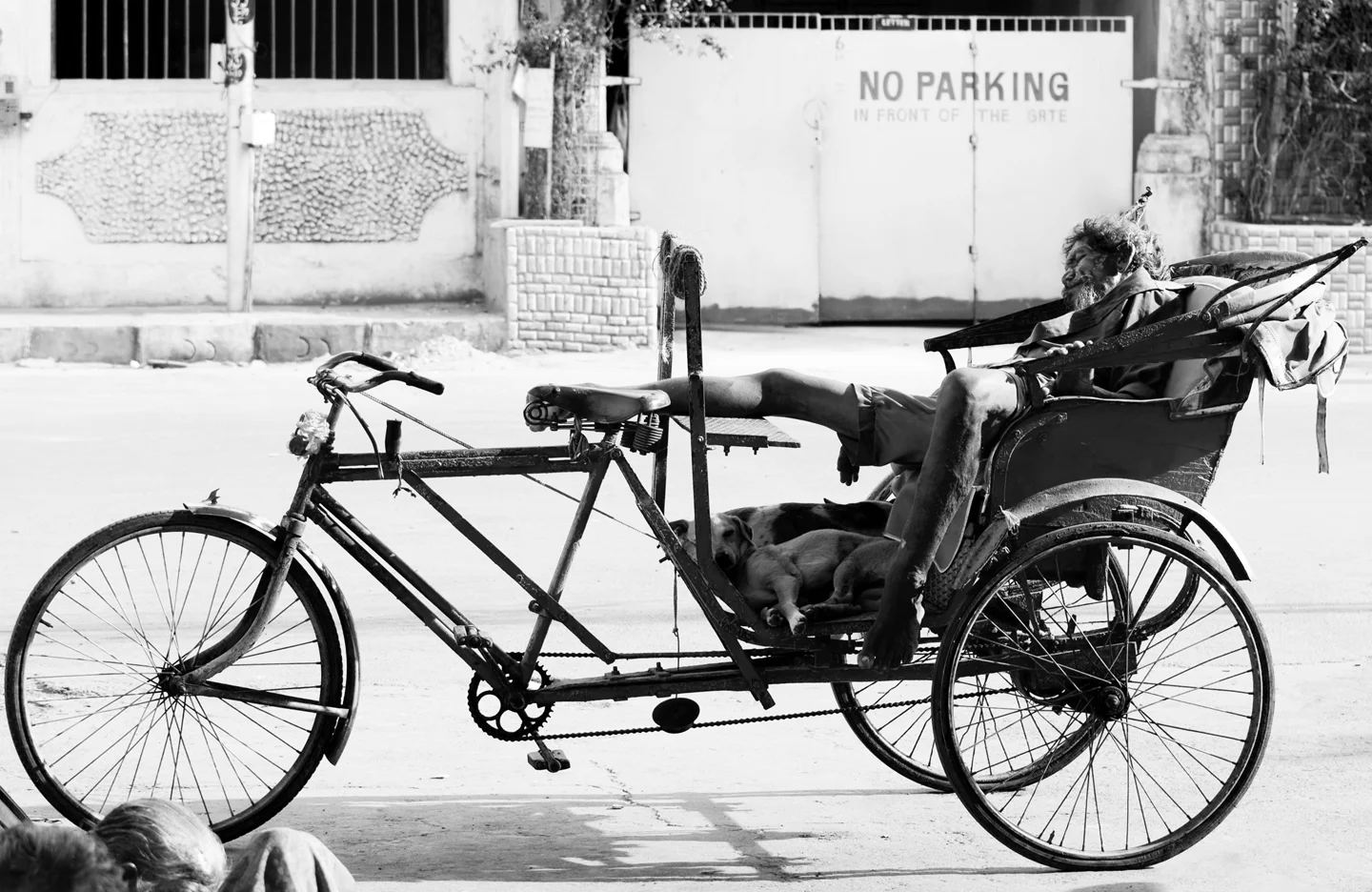 _MG_5003 copy.jpg