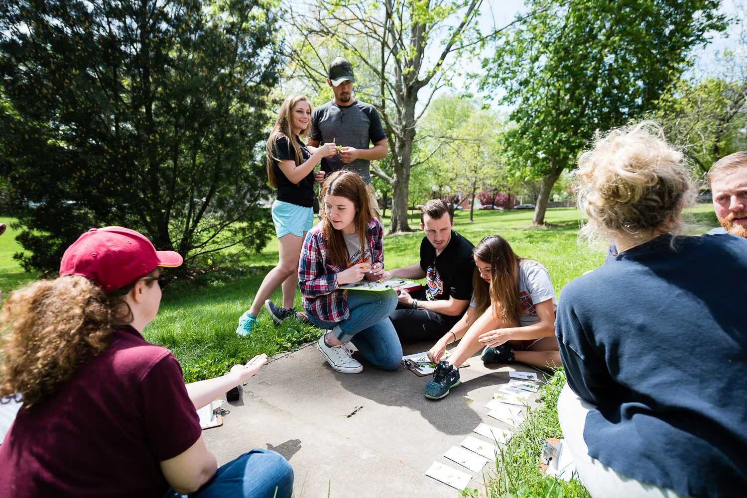 Knobel_HigherEd_2018-9.jpg