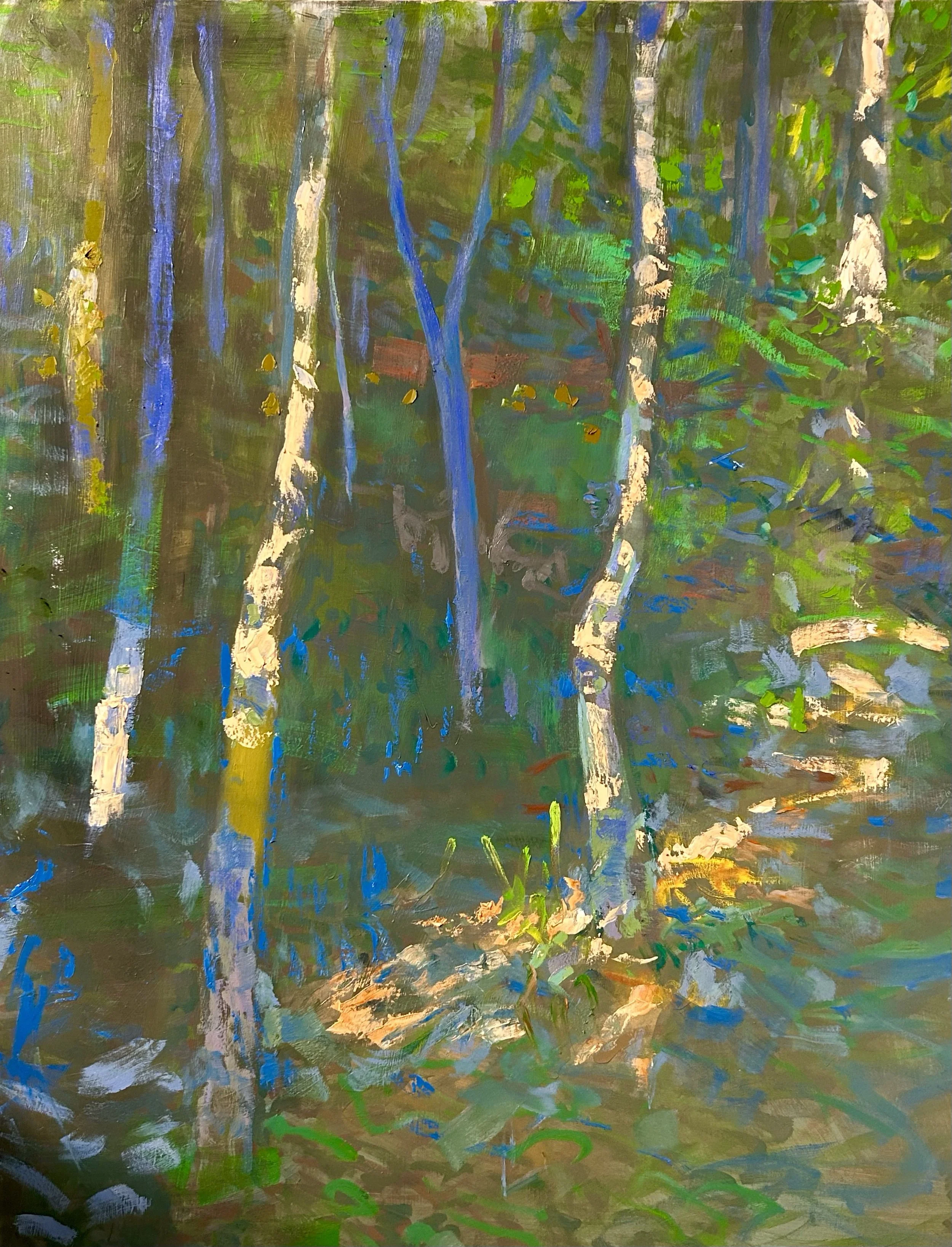 Overbrook Ravine