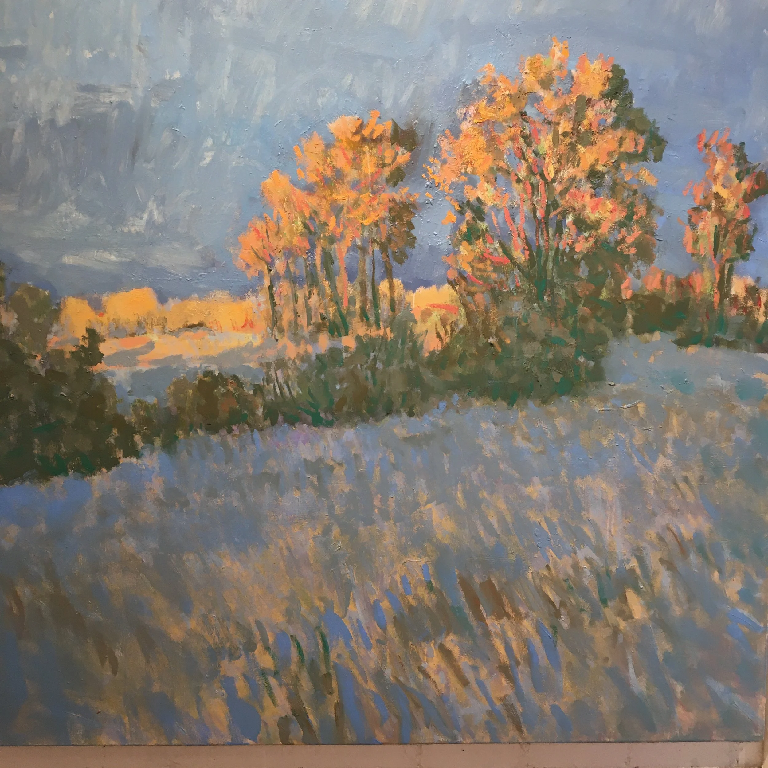 Last Light/ Old Pasture