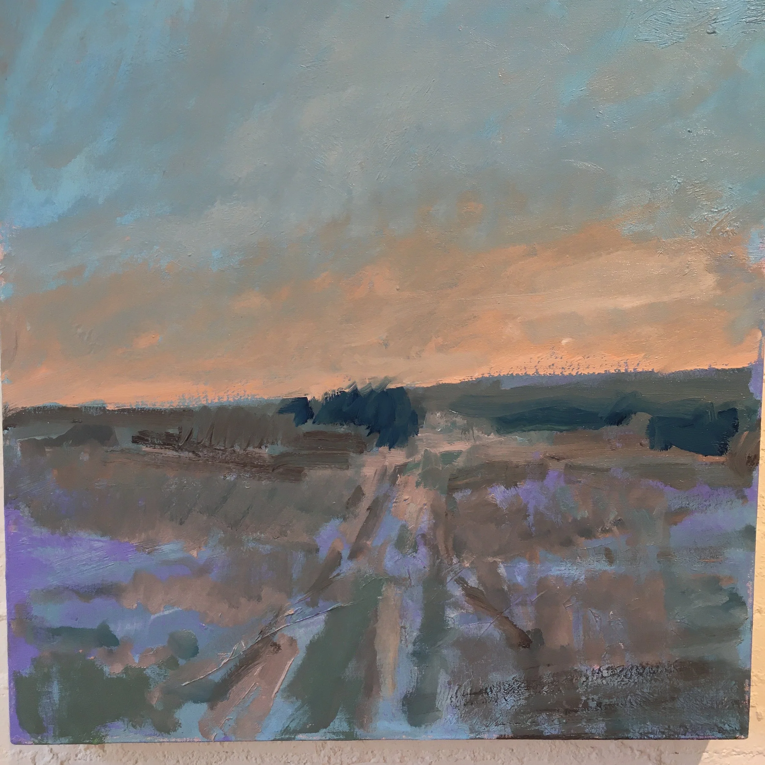 November Cornfields/ Sundown