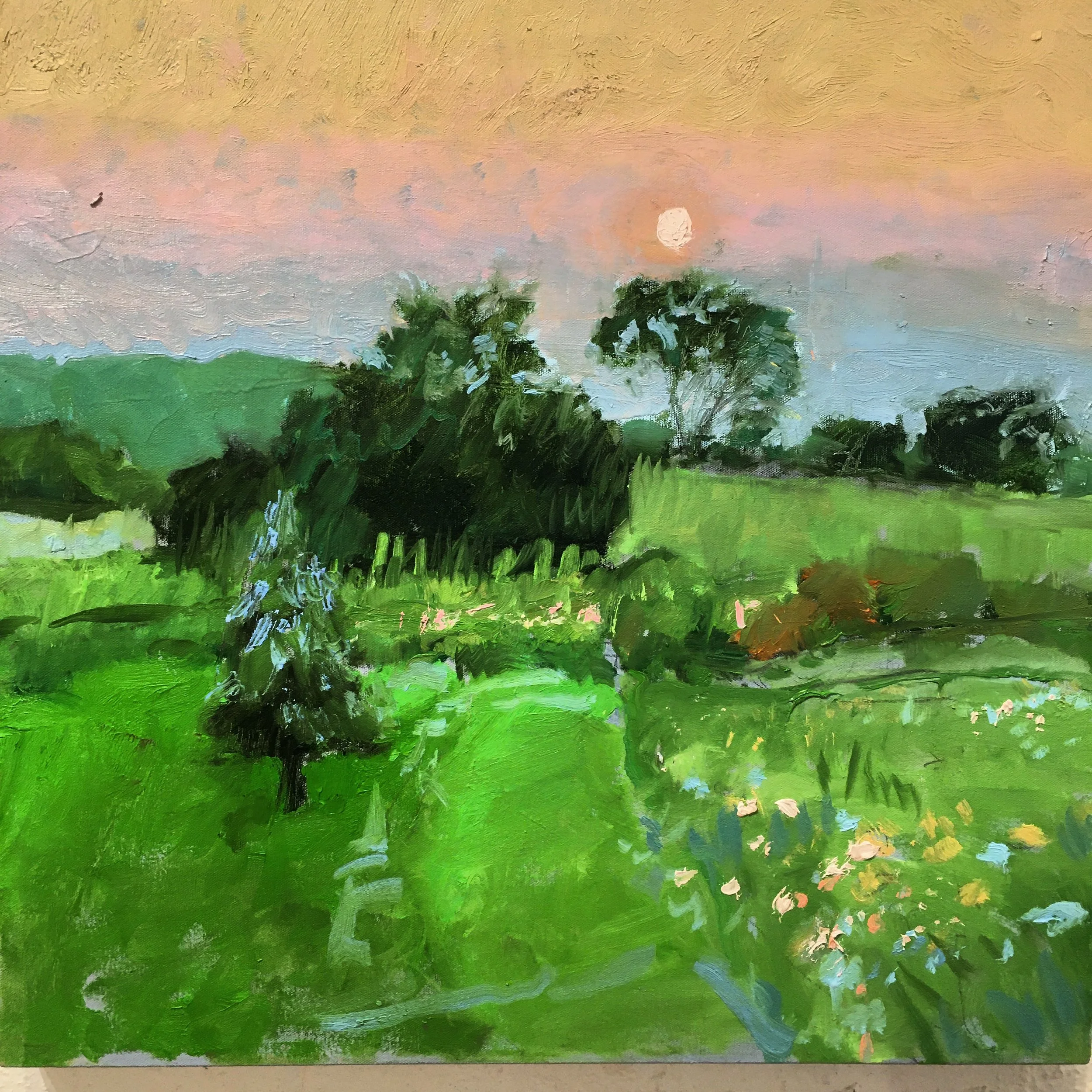 July Sunset/ Farmer’s Garden