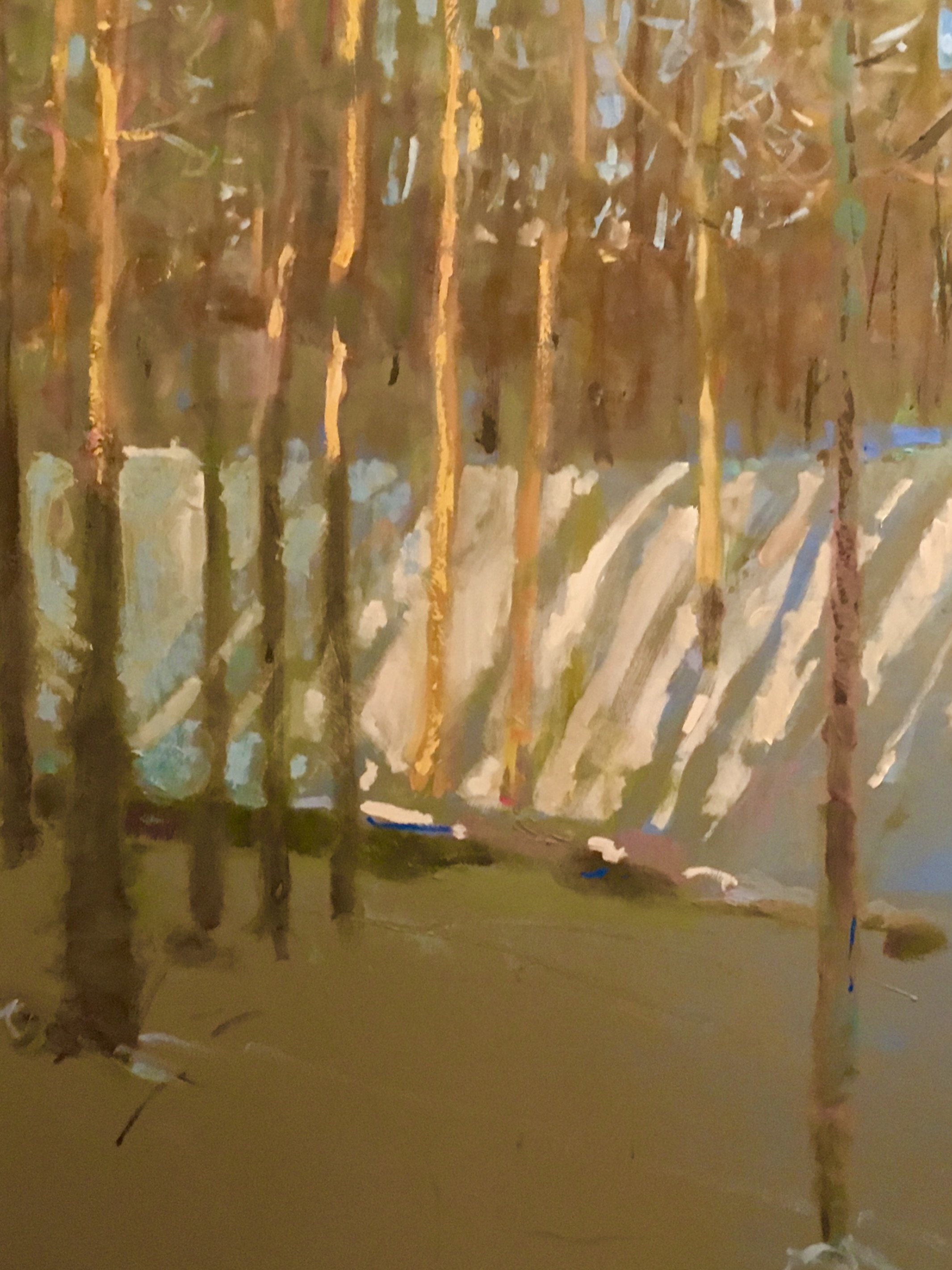 Trees in the Snow/ Late Afternoon