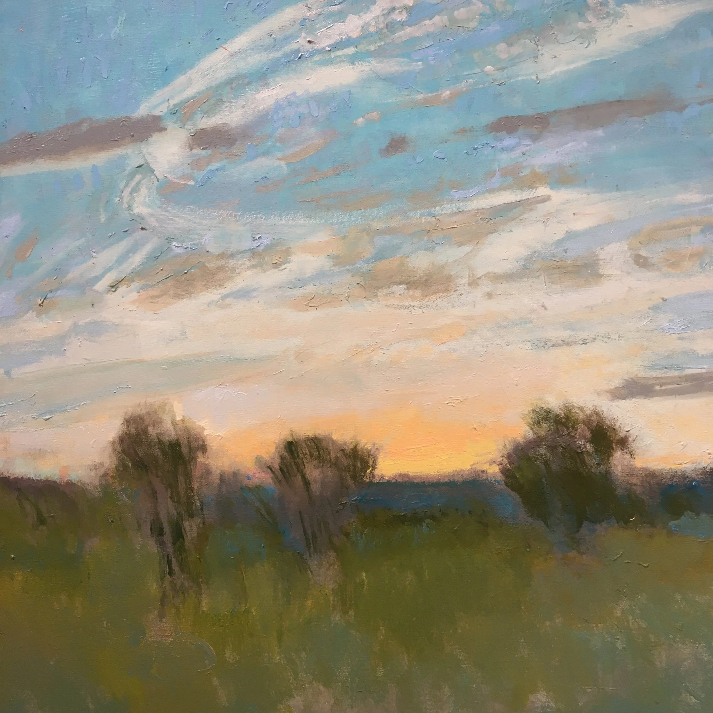 Contrails/ Old Pasture