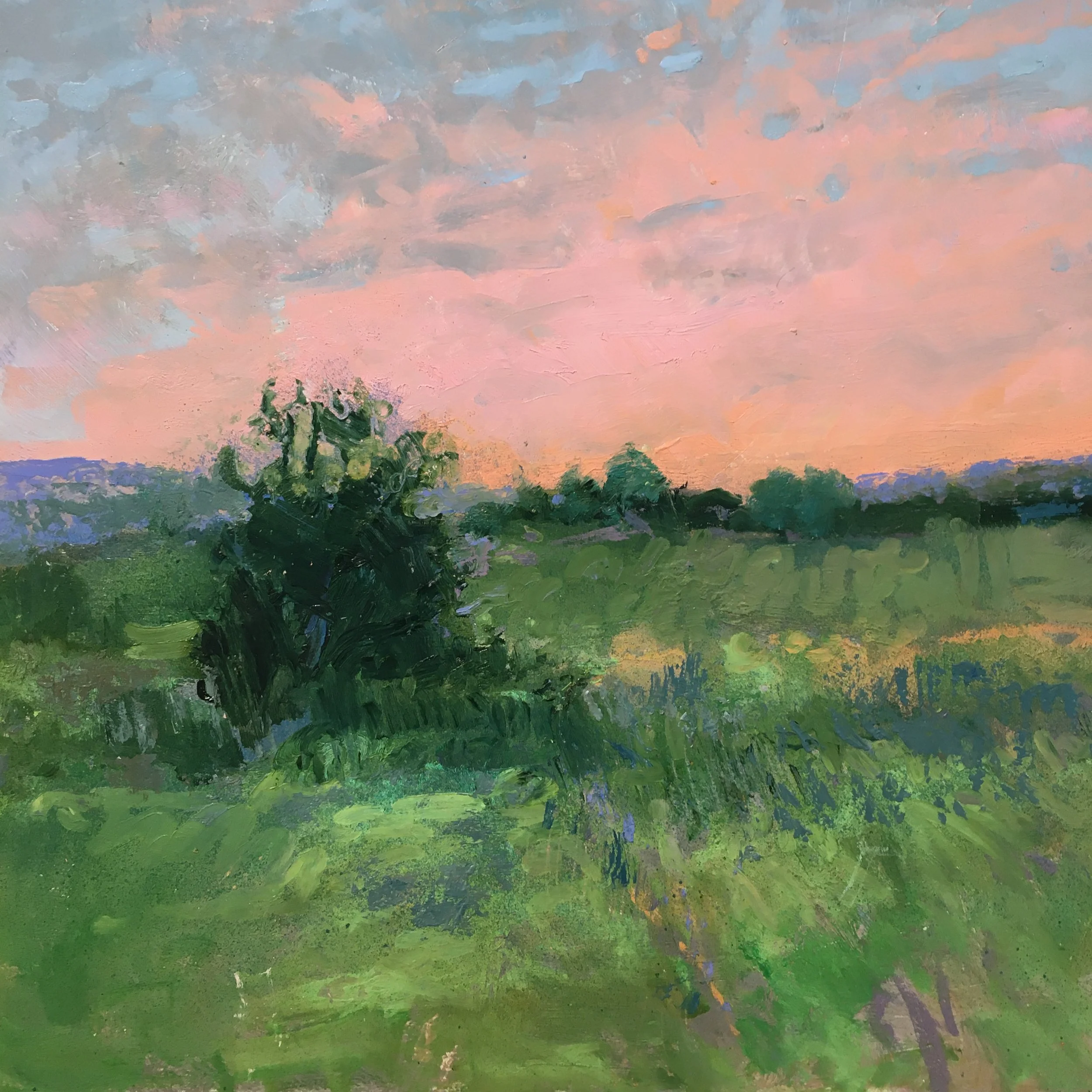 Pink Sky/ Green pasture