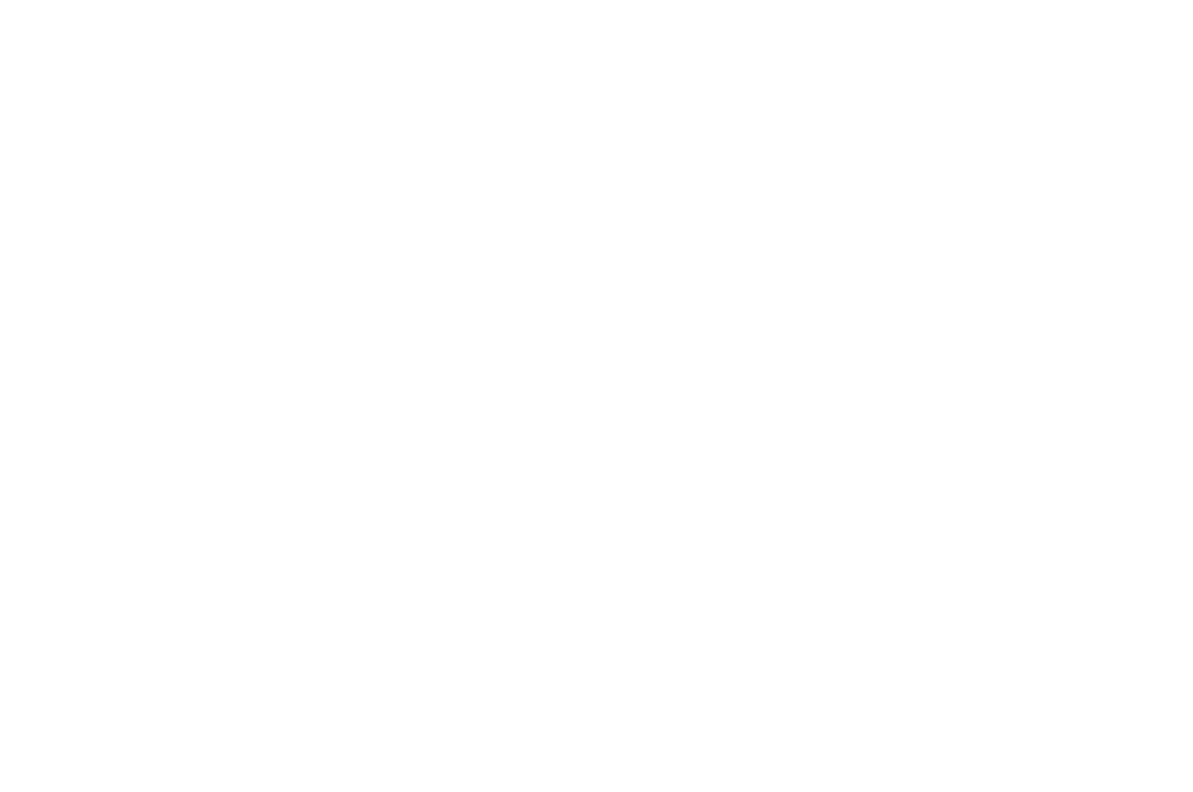 OFFICIAL+SELECTION+-+DC+Independent+Film+Festival+-+2023.png