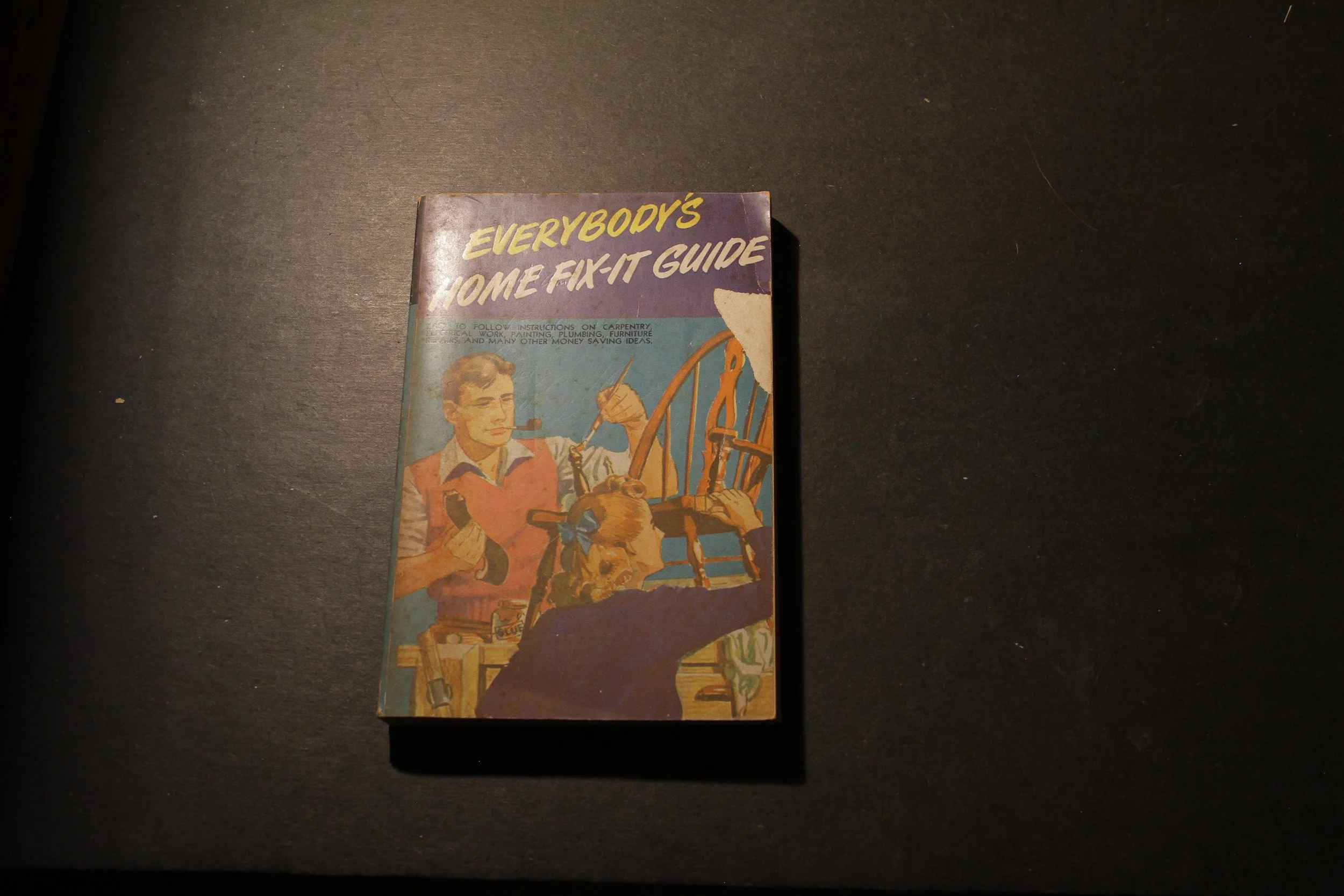 Everybody's Home Fix It Guide