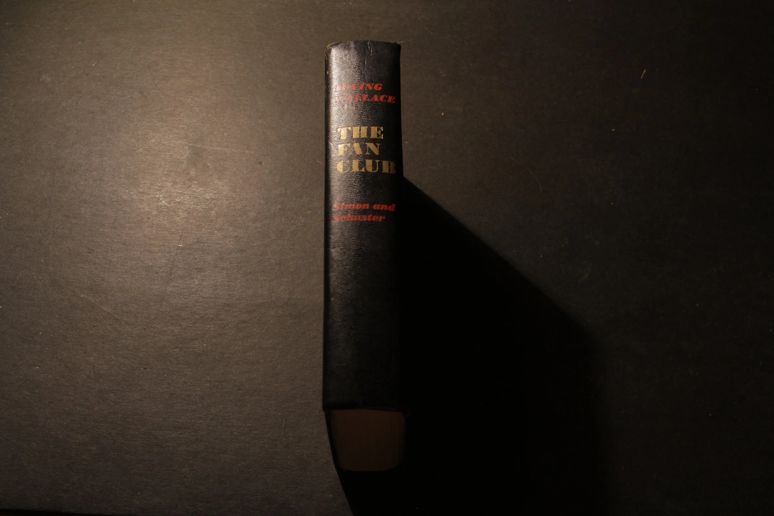 The Fan Club by Irving Wallace