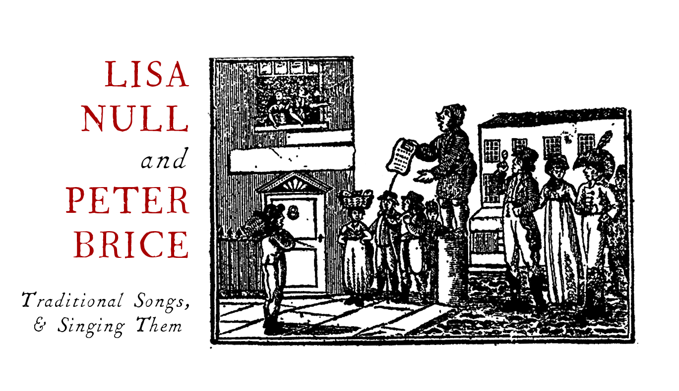 Header Image Null and Brice (logo) WEB.png