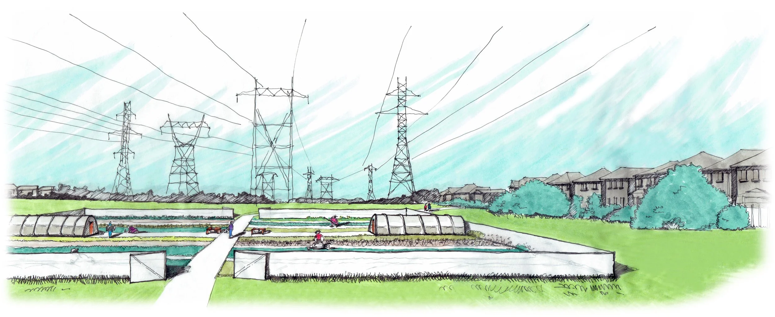 Concept Urban Agriculture in the Hydro One Corridor - CEED Project -Rendering by Michelle Moylan 