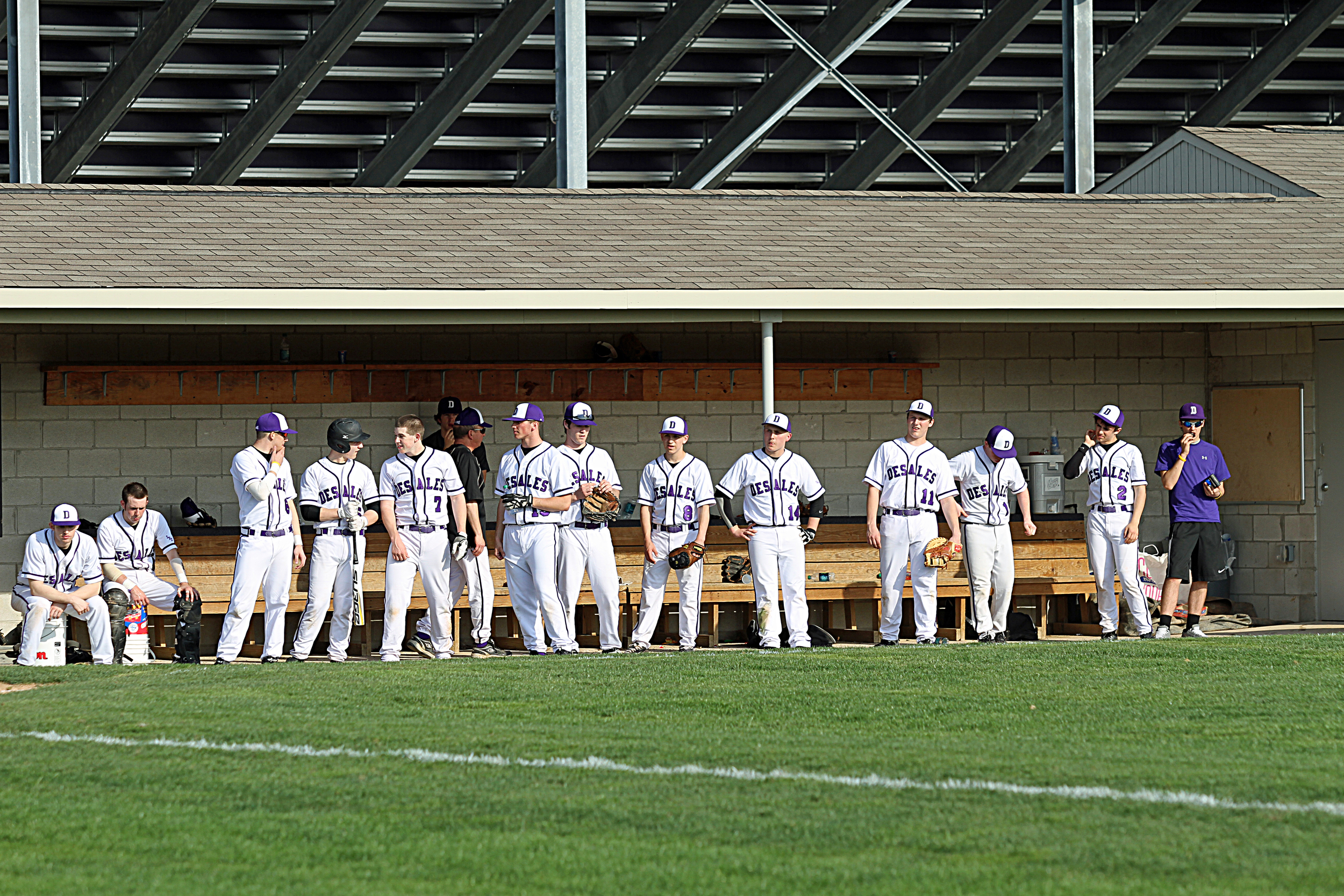 The Stallions look on from their home dugout