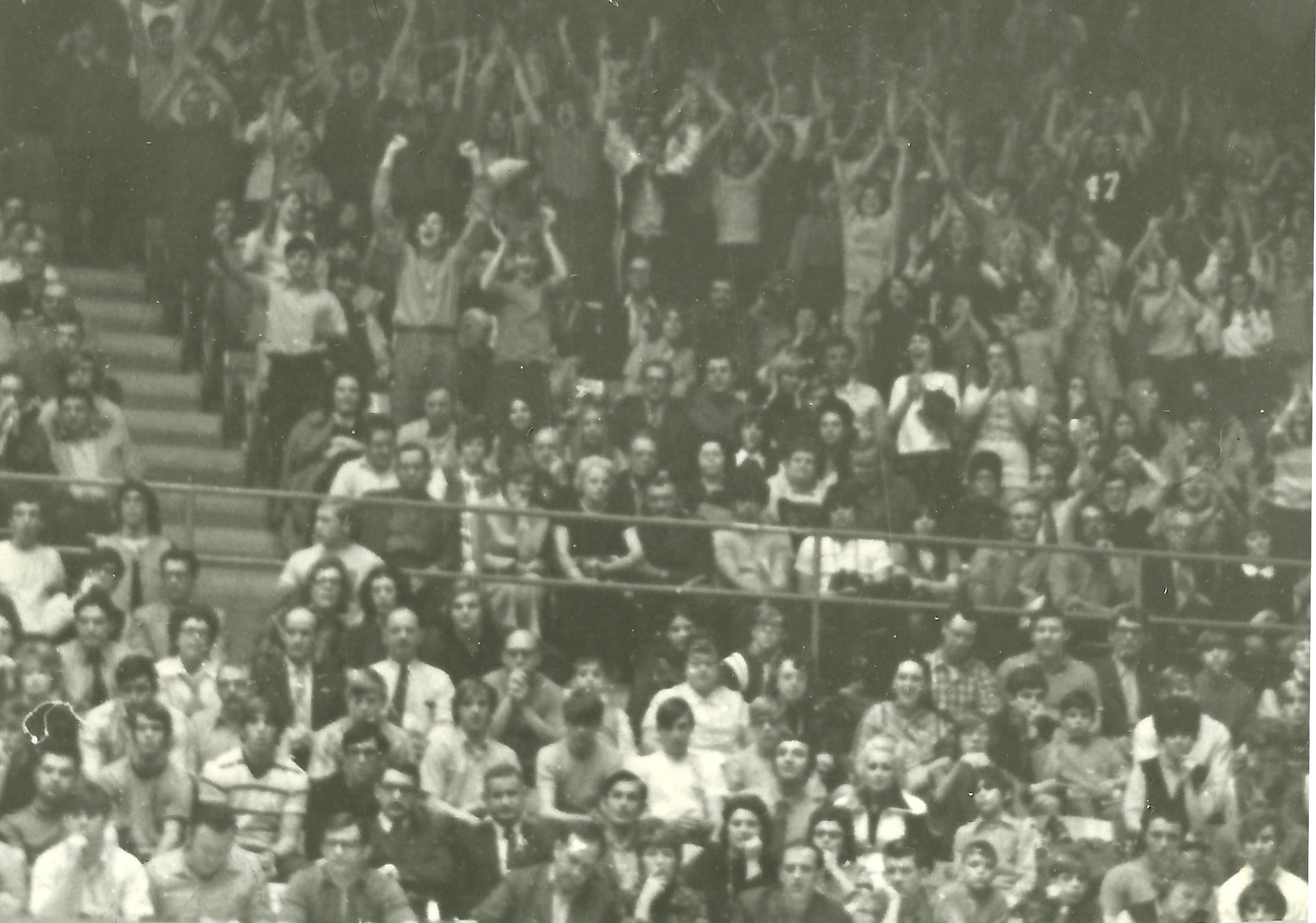 Stallion fans showing their support at St. John's Arena