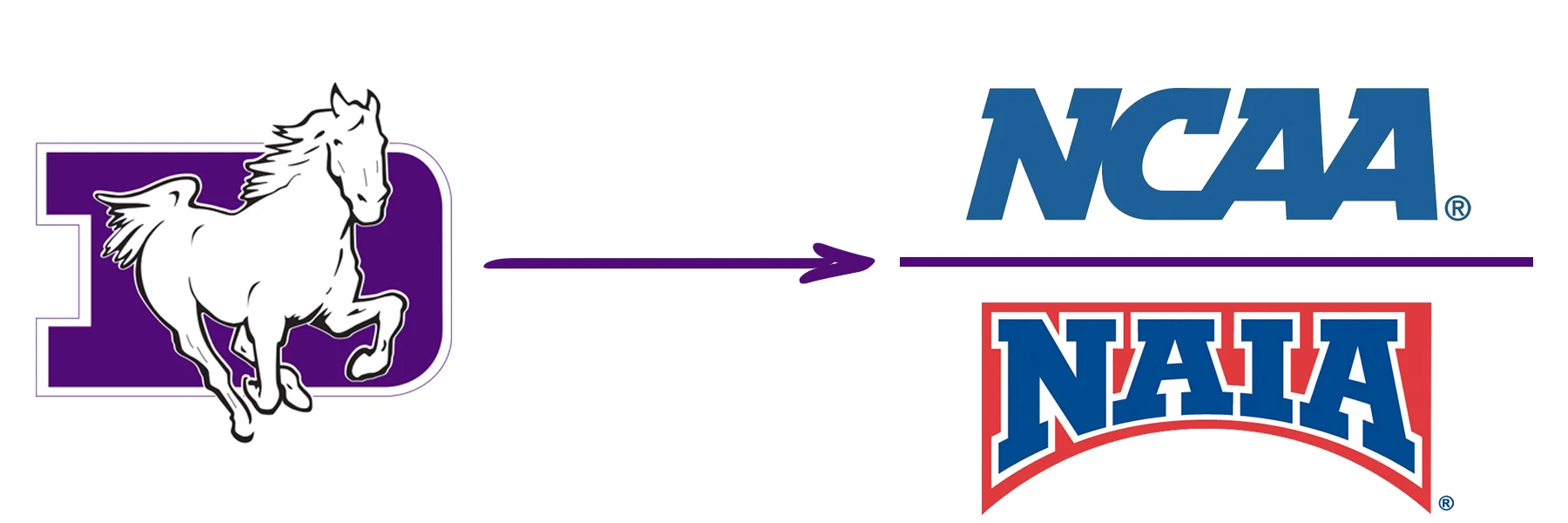 sfd to ncaa2.jpg