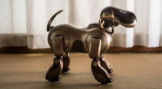 robotica-promo-toy-custom1.jpg