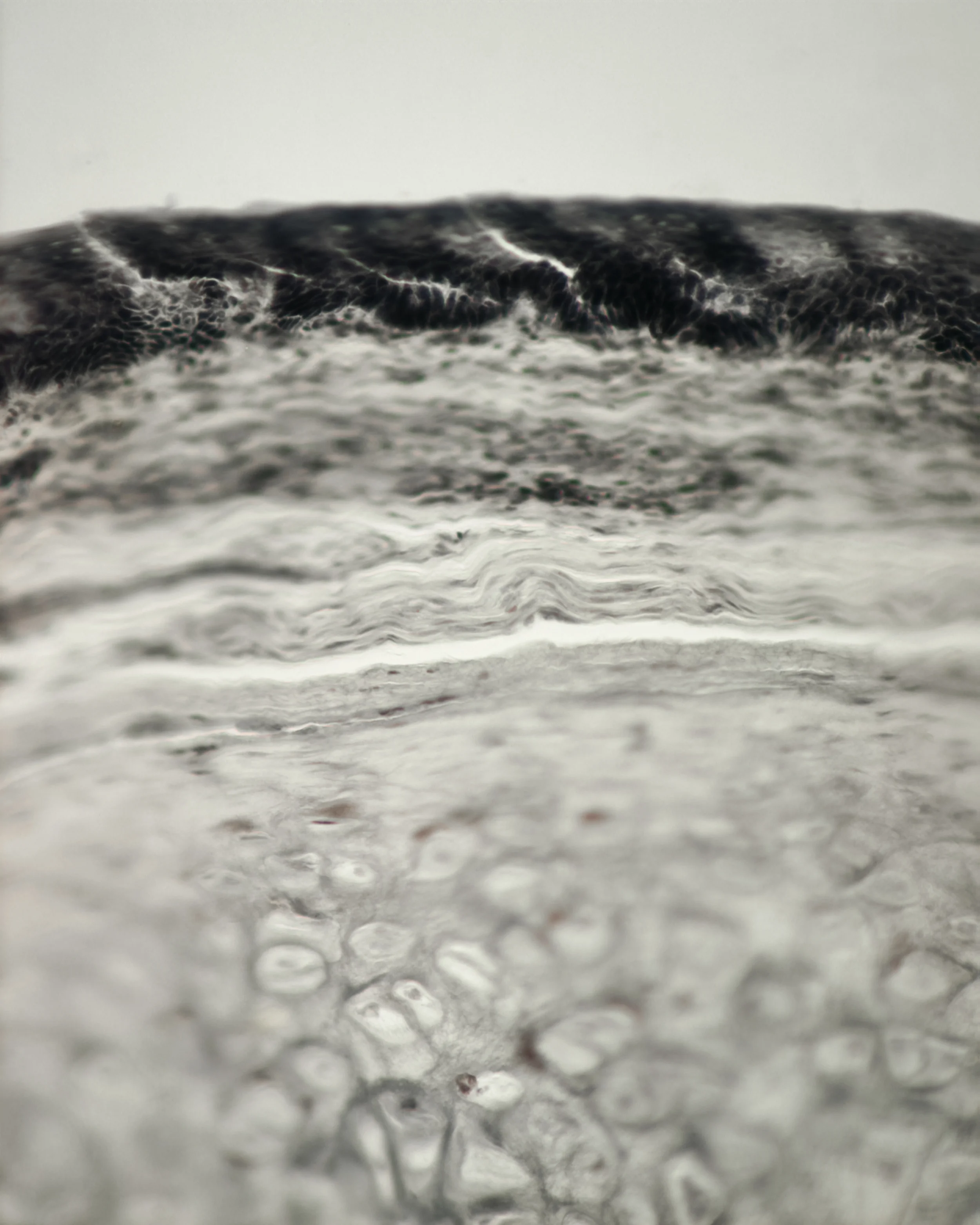  Sighing And Storytelling On The Altiplano 