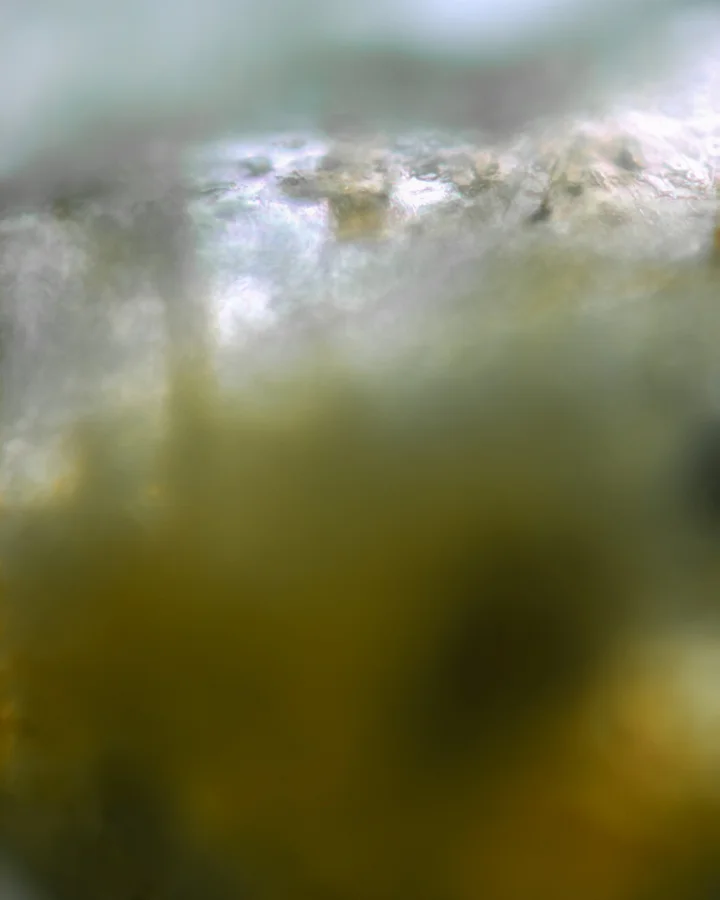  Nursery, II / Subterranean Sublime 