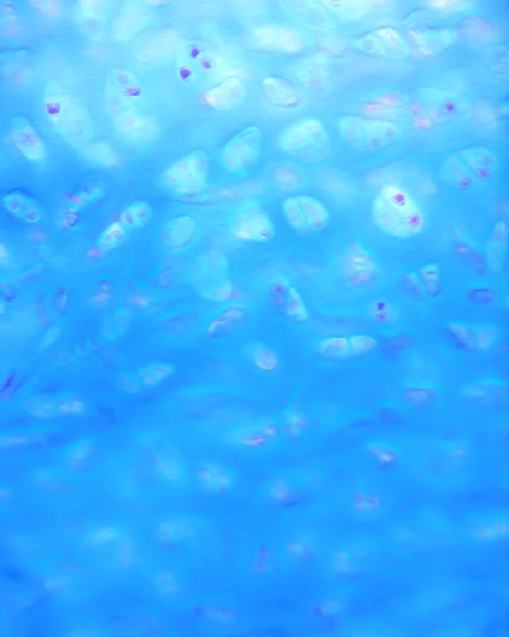  Spirits Because We Can't See 