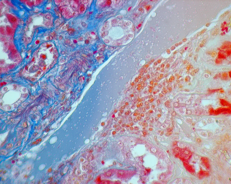  Ice-Breaking Ships / Saint Lawrence 