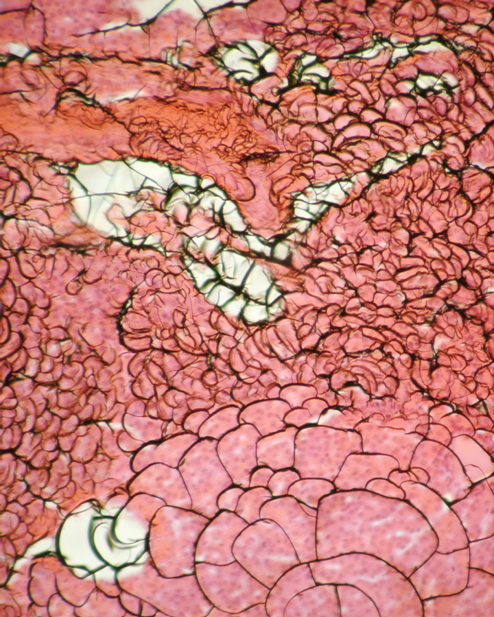  Incidental Sculpture From A Past Life, Perhaps In Rural France / Slate, I 