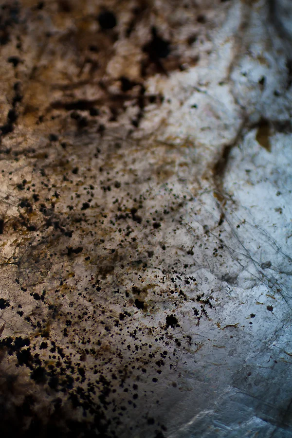   Adélie Territory, I I 