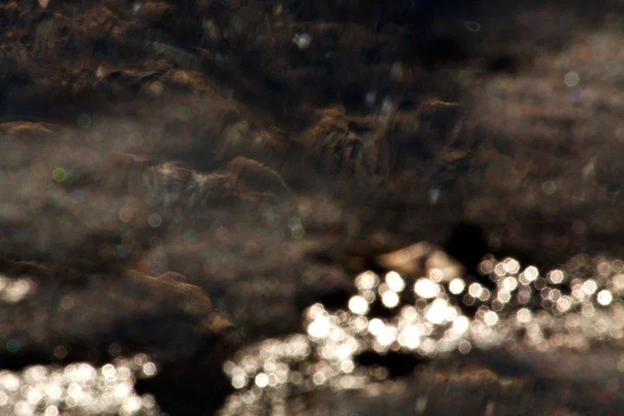  Surfacing: First Glimpse Of Terra Firma 