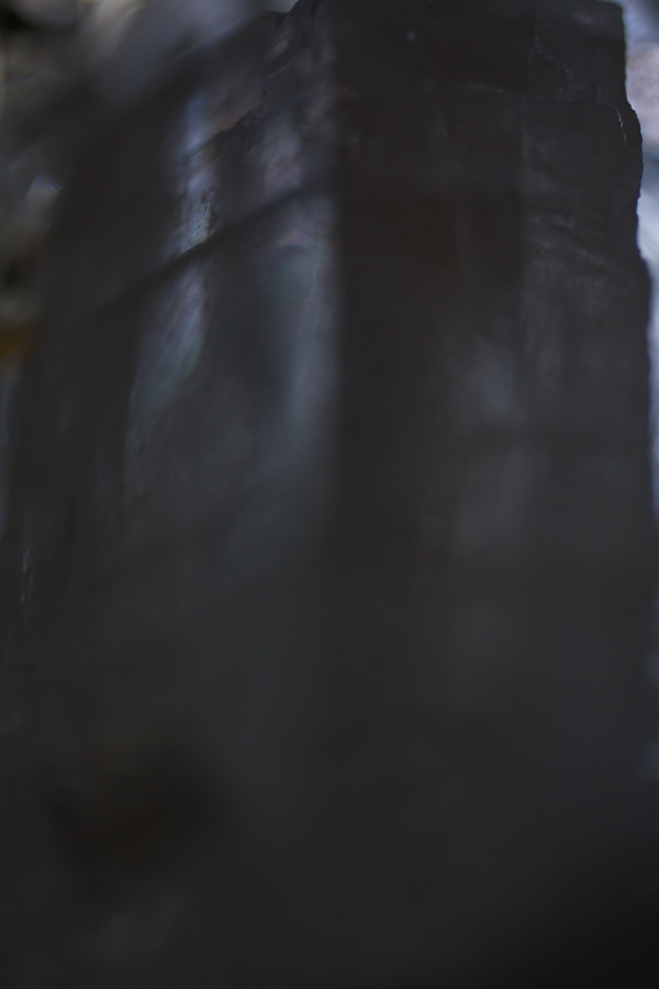  From The Shelter Of The Lifeboat 