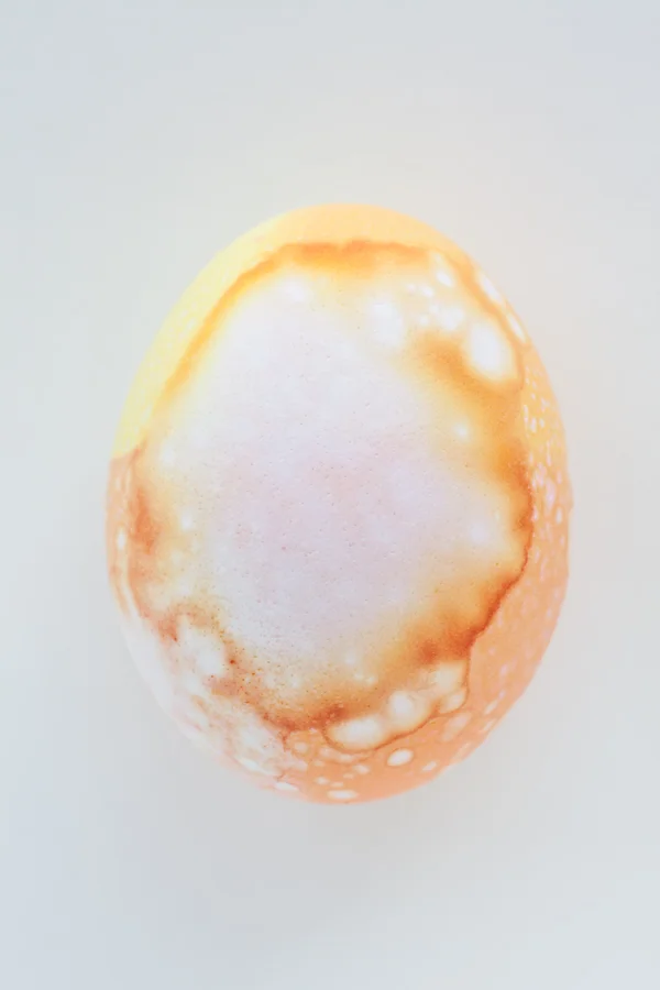 Eggs 4-8-13 (254) WEBSITE.jpg