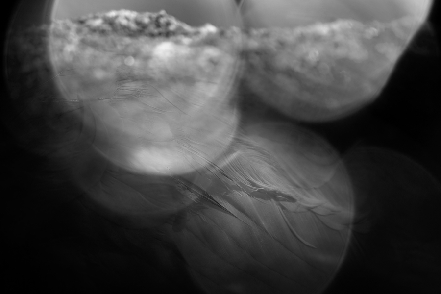  This Is His Domain And We Are His Guests, I 