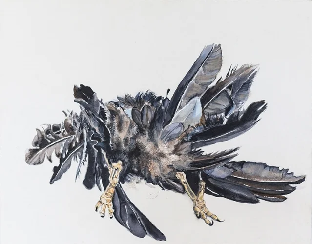 crow