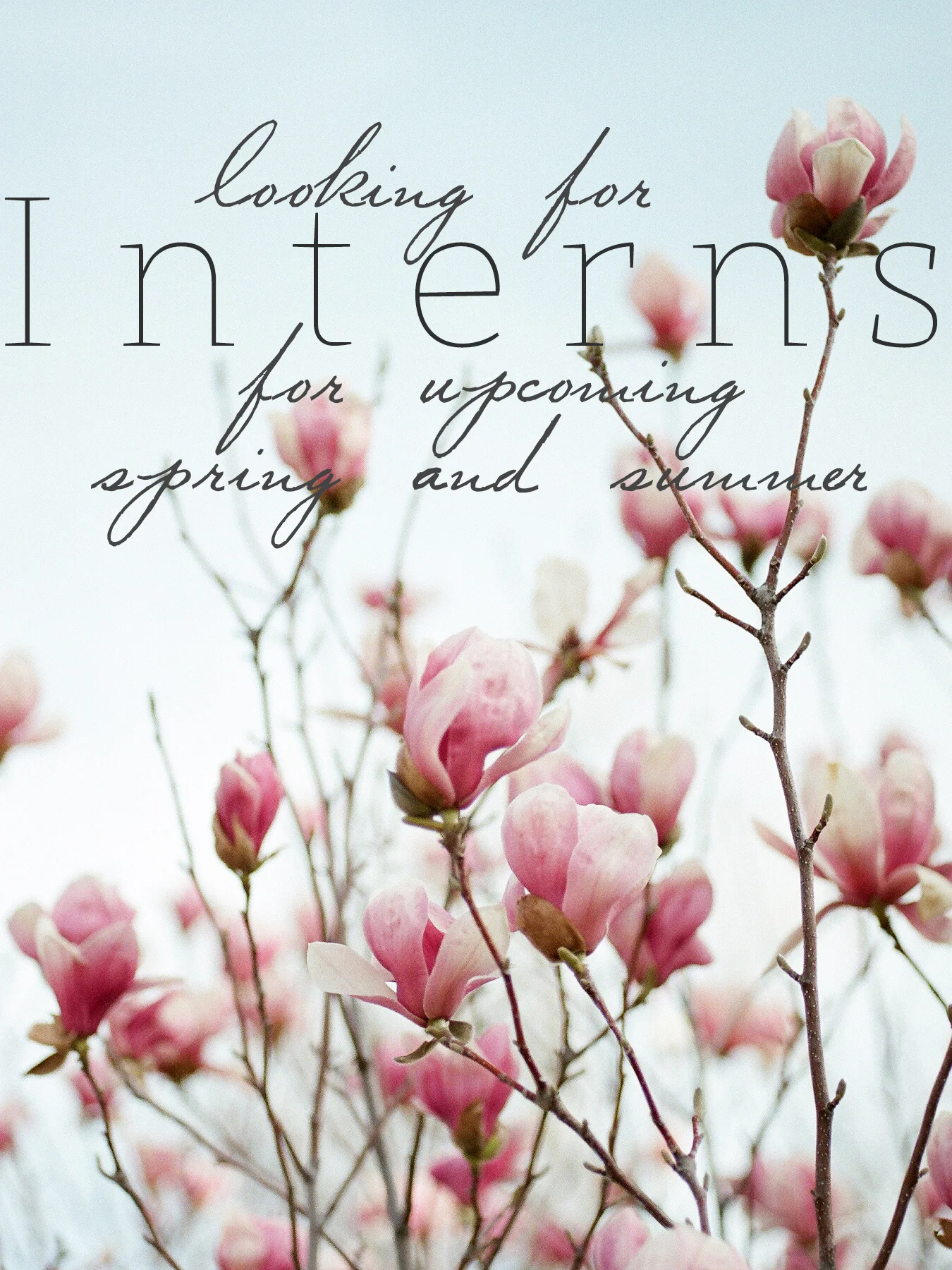 We're looking for interns for this coming spring and summer! We've had several inquires asking whether or not we are accepting positions and we are so excited to say yes! Because our business is so new we are only looking for internships and would love to talk to you individually about what you're interests are whether it's floral design or event styling and coordinating. This internship will be based around the events we have and leading up to them. We're looking for like minded people who are excited about what is to come for Oklahoma weddings and want hands on experience ! Please send your resume to Taylor@EverSomething.com or Katie@EverSomething.com and we will be contacting you to set up a meeting.