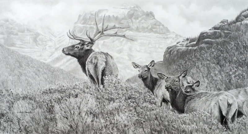 Before+the+Snow+Flies+-+Elk+web.jpg