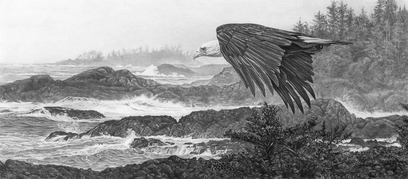 Shore+Patrol+-+Bald+Eagle.jpg