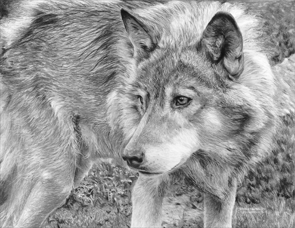 On+the+Prowl+centered+on+13x19.jpg