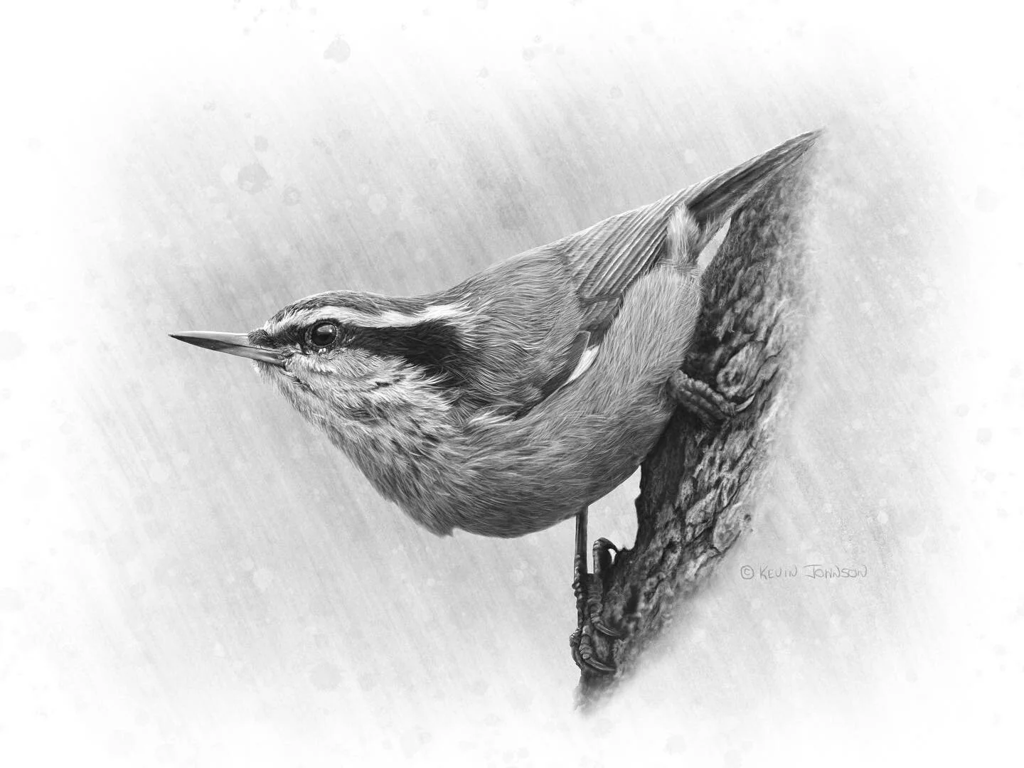 Studio News The Pencil Artwork Of Kevin Johnson