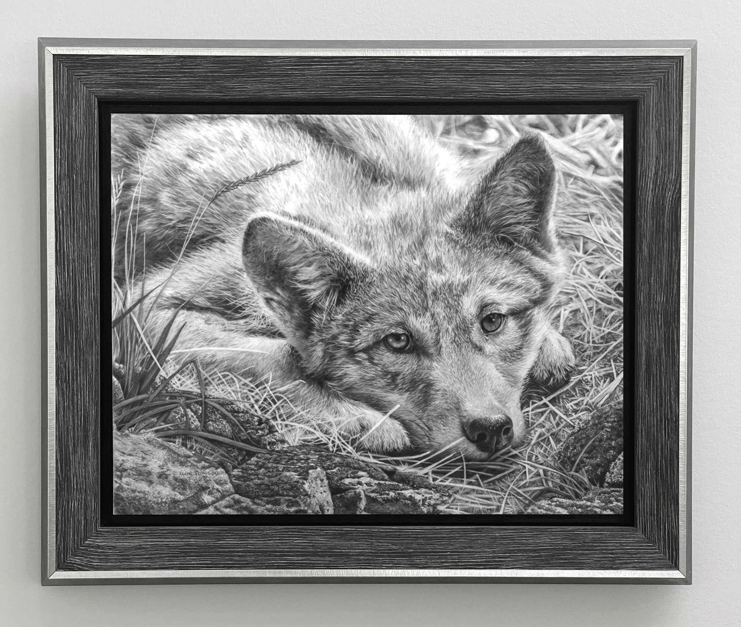 time out - wolf pup framed.jpg