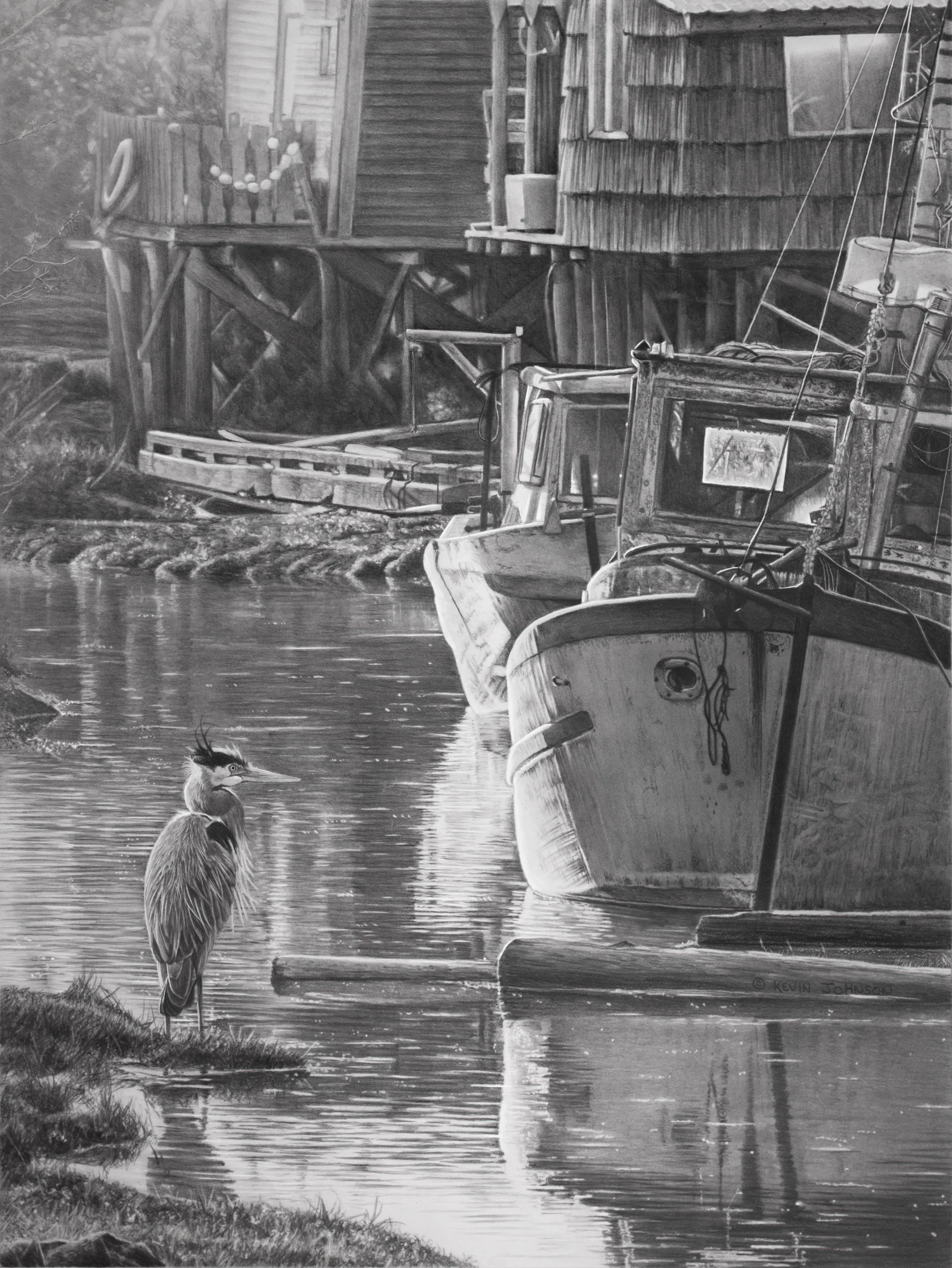 Finn Slough - Great Blue Heron.jpg