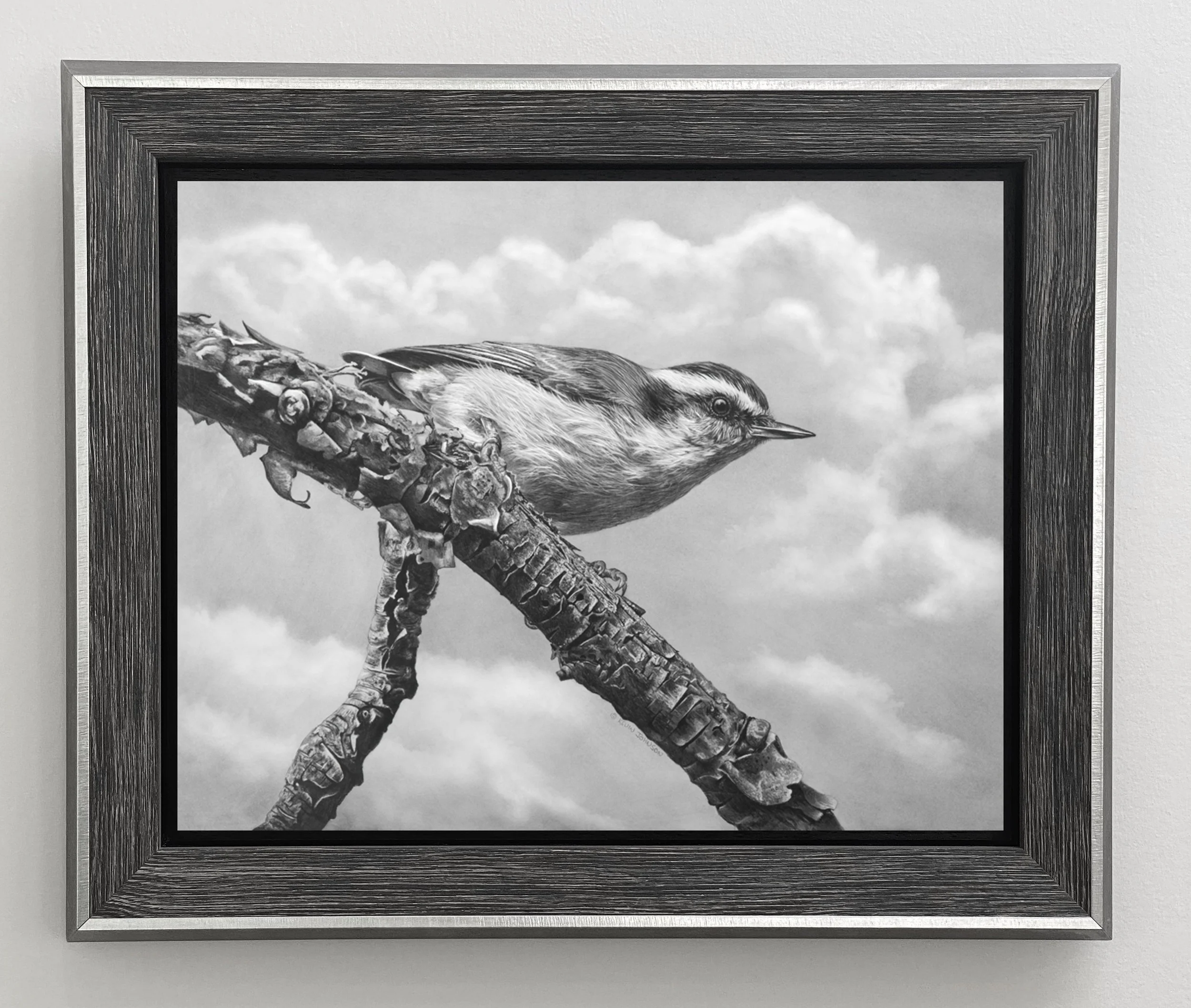framed nuthatch.jpg