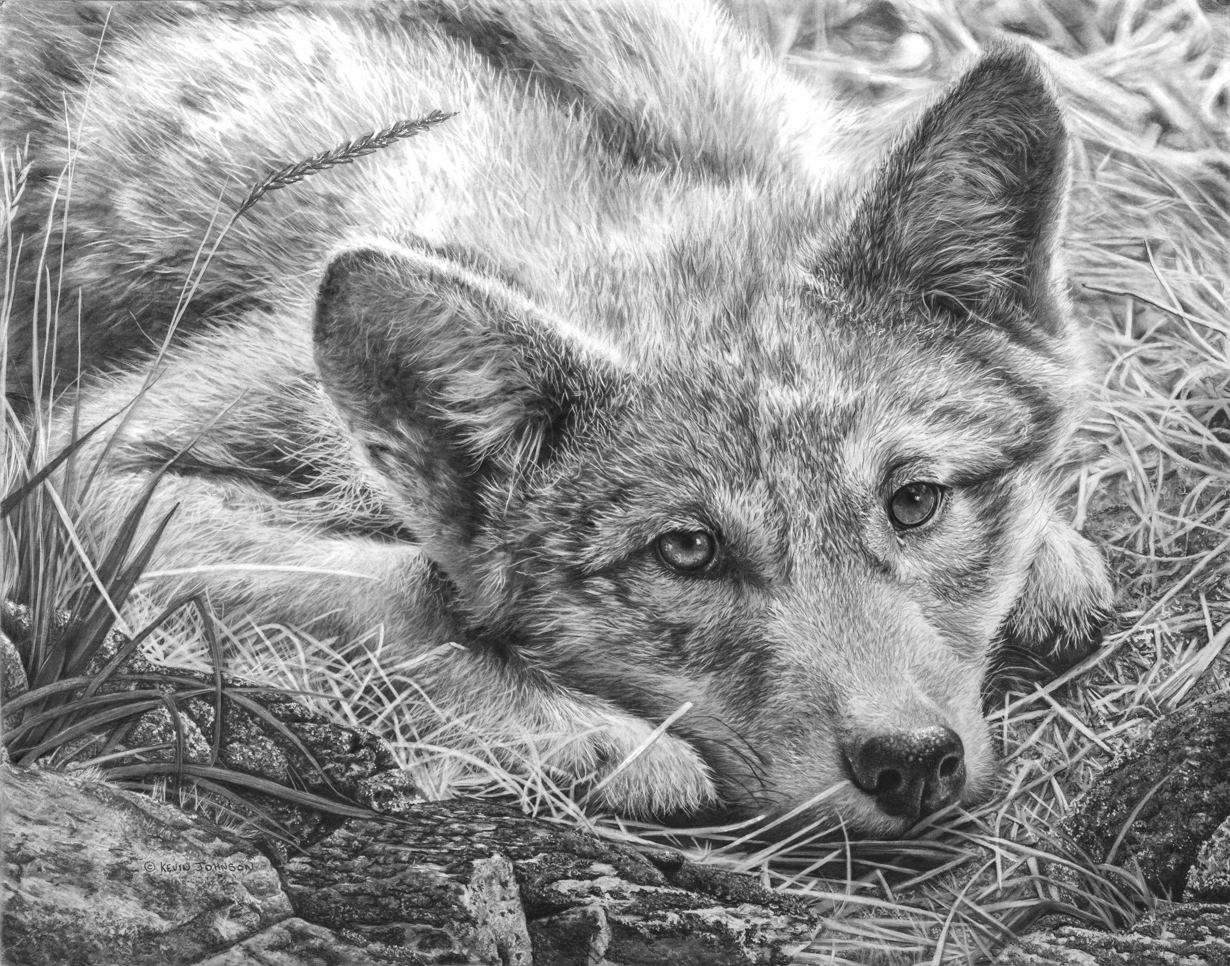 time out wolf pup card-1.jpg
