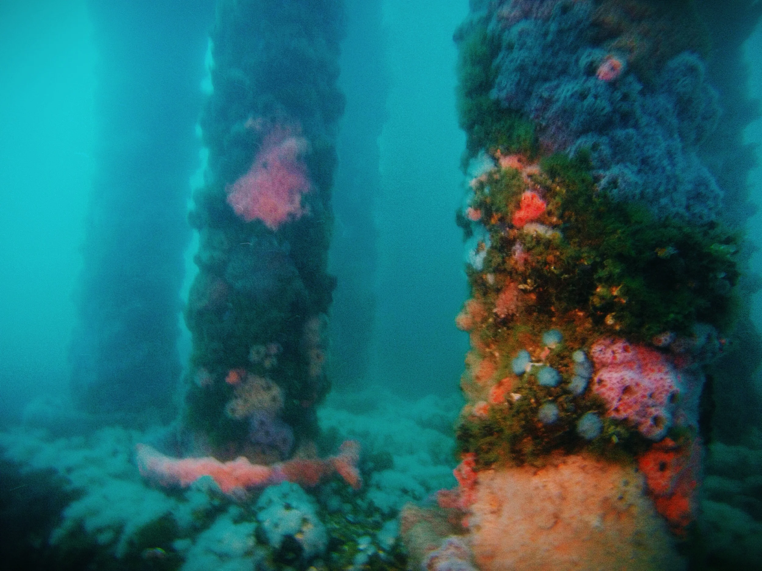 A view  from 40ft below the surface