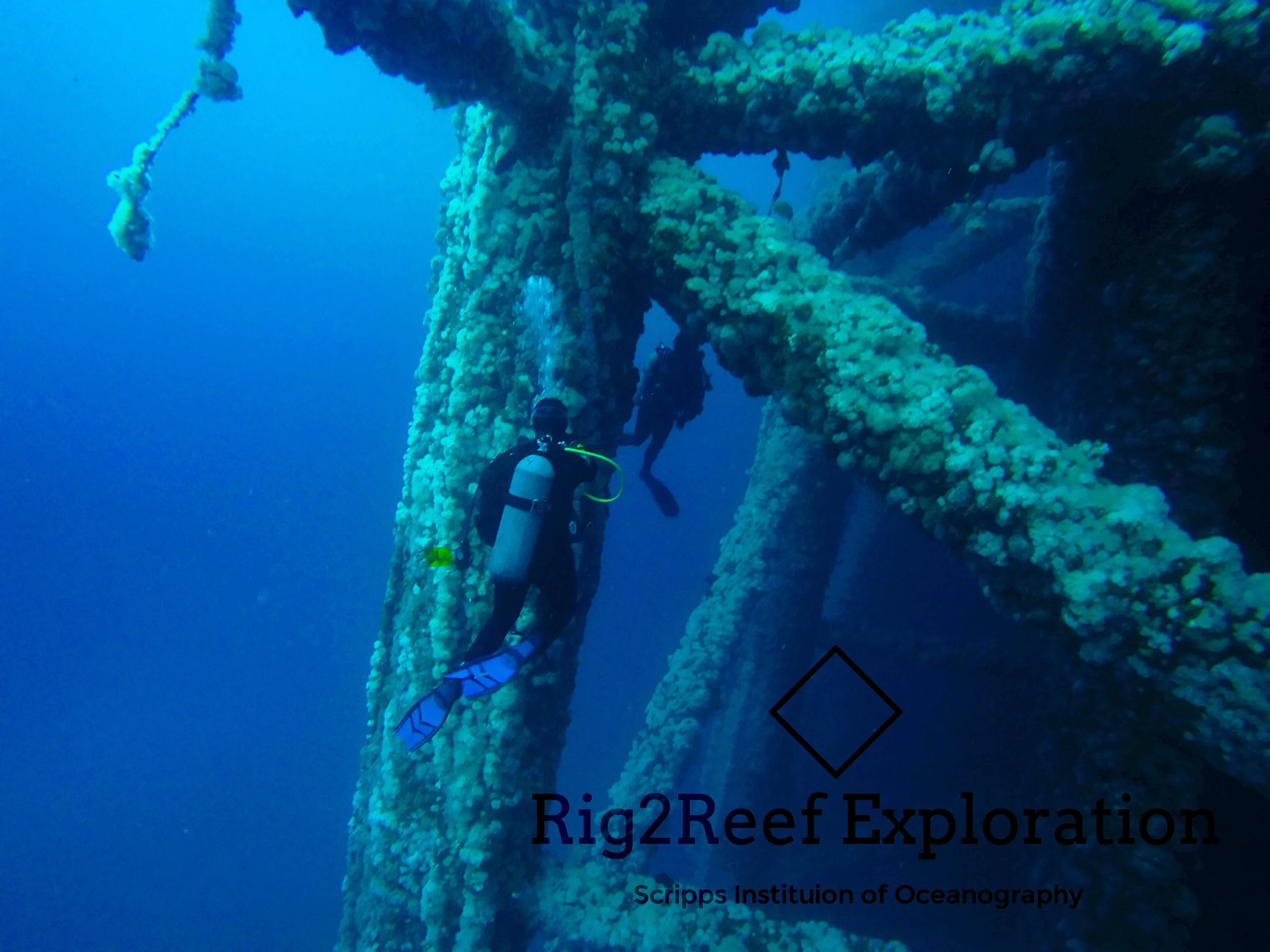 Divers hover at a Maximum depth of 90 feet