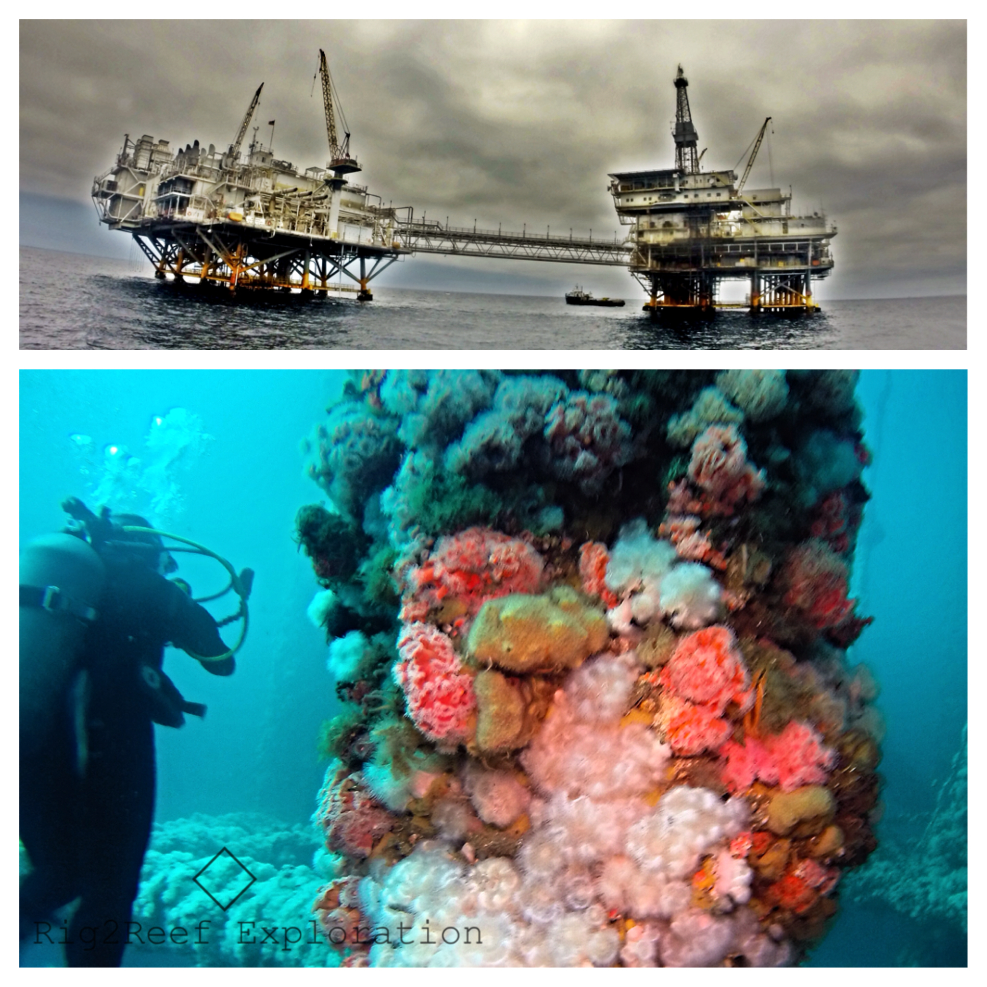 Rigs to Reefs