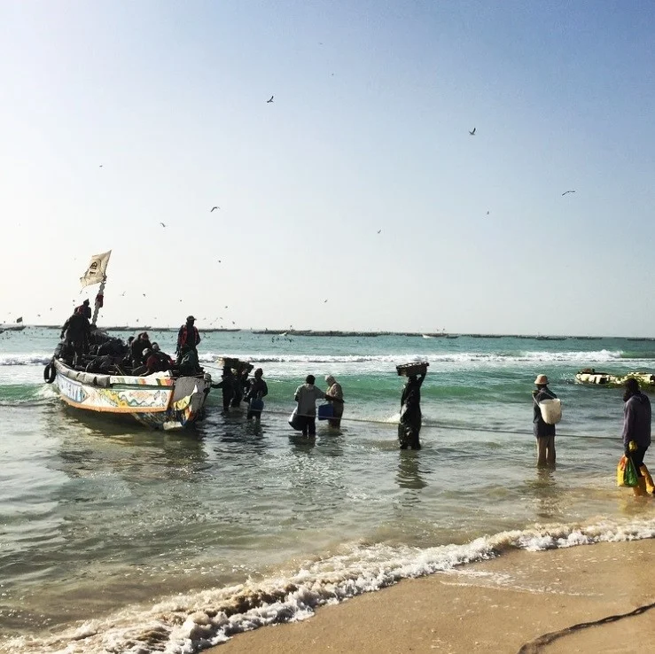 Work — Blue Latitudes