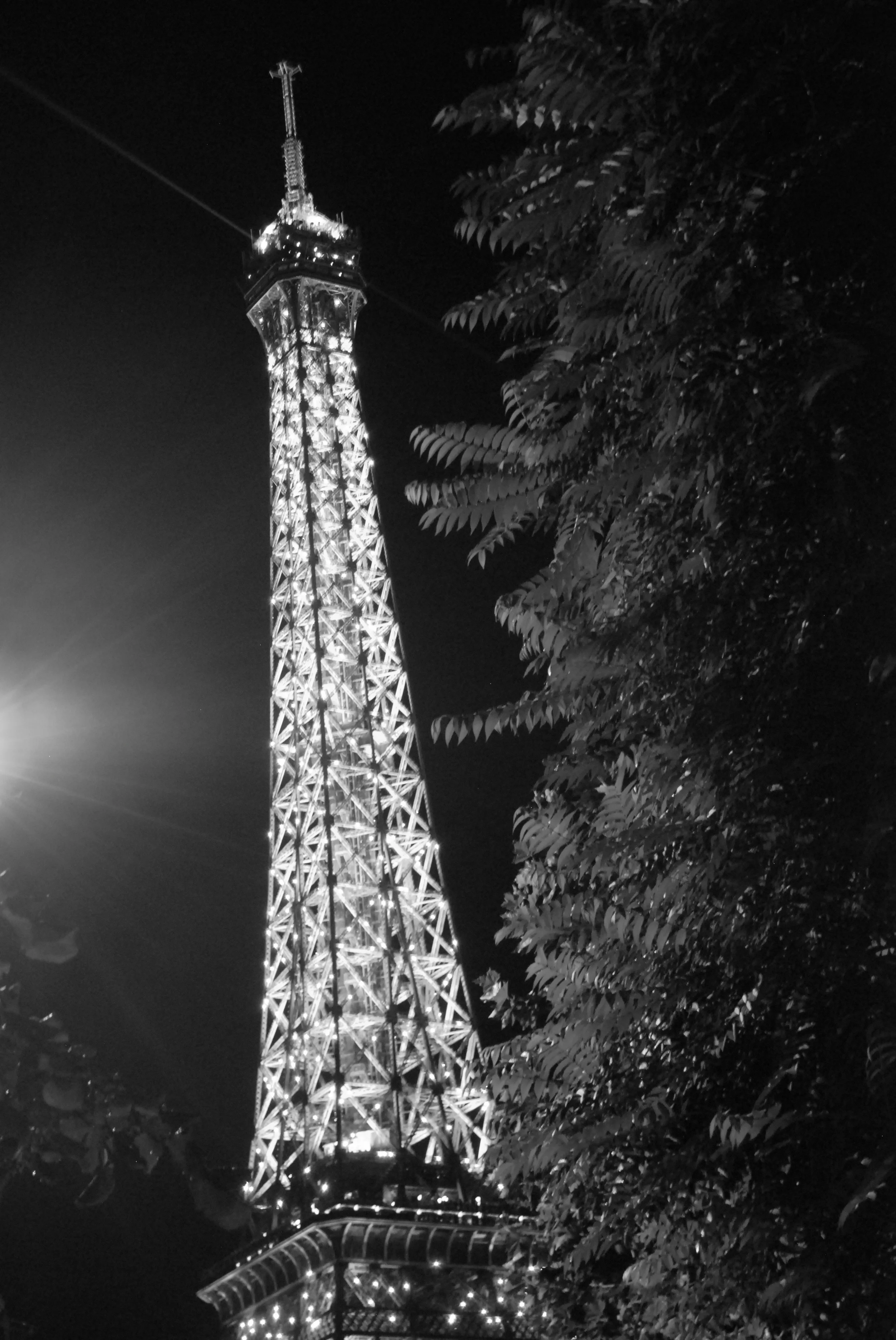DSC_0187.jpg