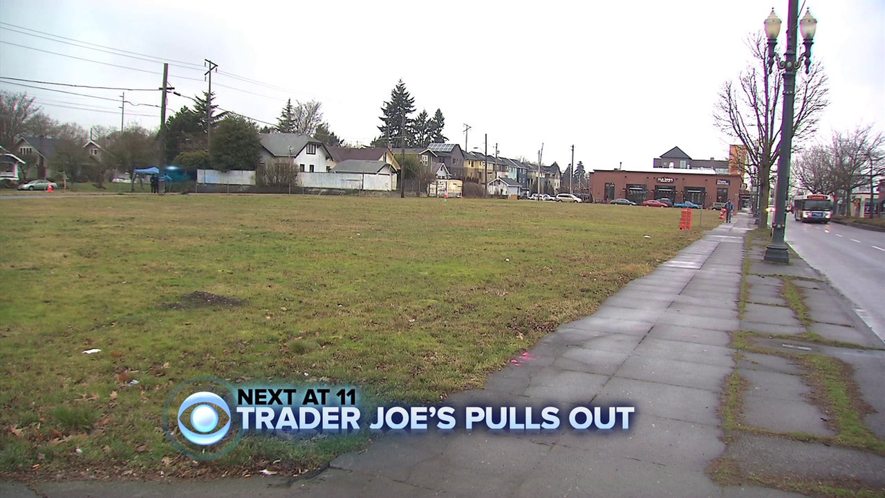 Elephants & Gentrification