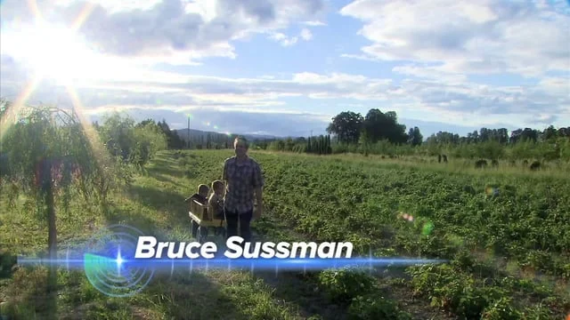 KOIN 6 Weather: Summer