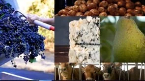 Oregon's Harvest 2020