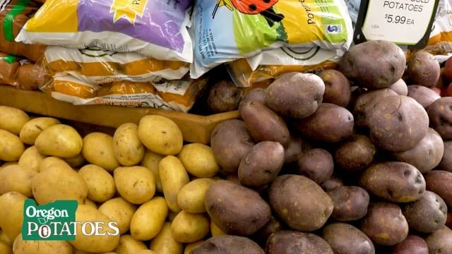 Distance Runner Potato Vignette