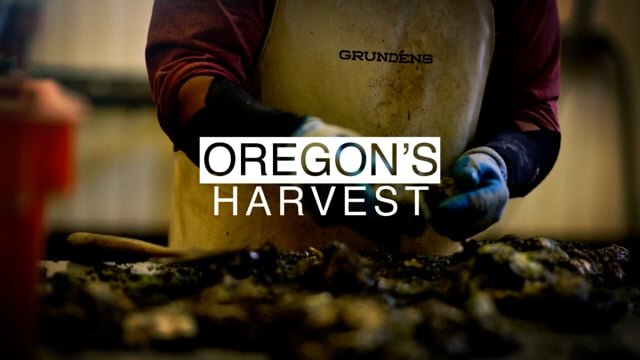 Oregon's Harvest 2021