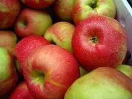 McIntosh McIntosh apples prove that great cider can be made from "dessert" apples. Meaning they have little tanins and acids. Try our McIntosh and you'll experience the wonderful aromatics and flavors that are brought out of this apple by the wild yeast fermentation.